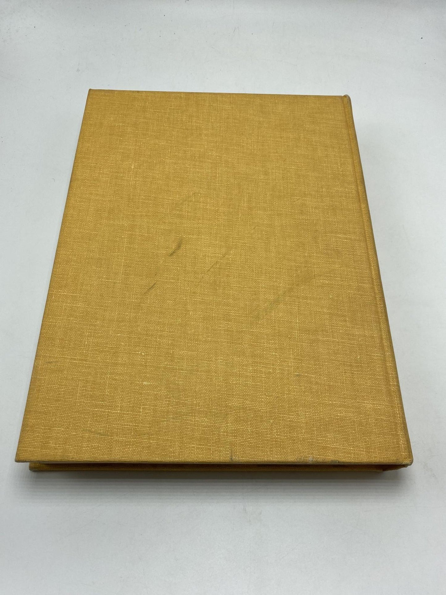 Terrapin 67 University of Maryland Volume 66