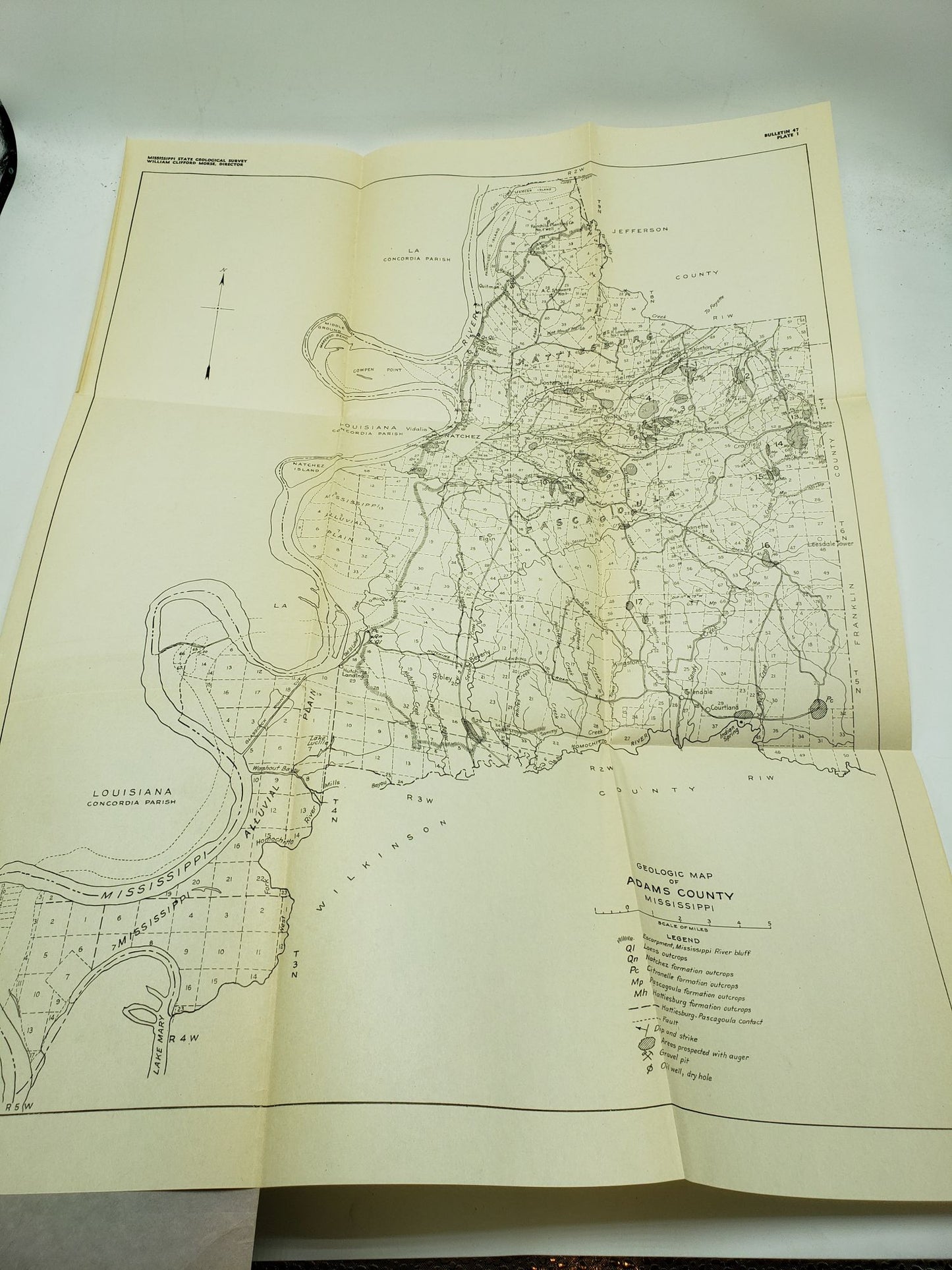 Mississippi Agricultural Limestone (Mississippi Geological Bulletin 46), & Adams County Mineral Resources (Mississippi Geological Bulletin 47)
