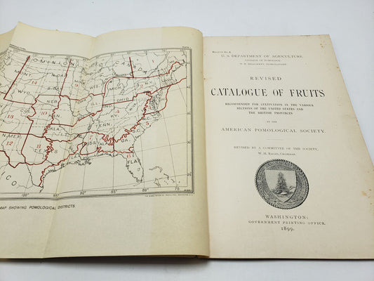 Revised Catalogue of Fruits