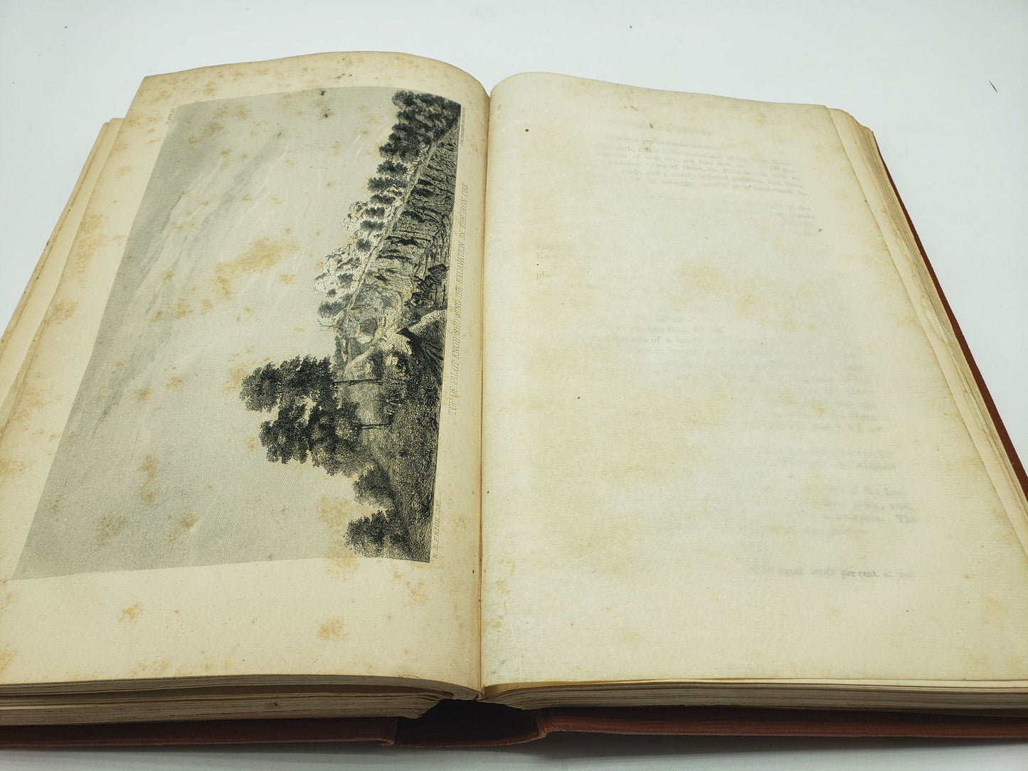 The First and Second Annual Report of the Geological Survey of Missouri