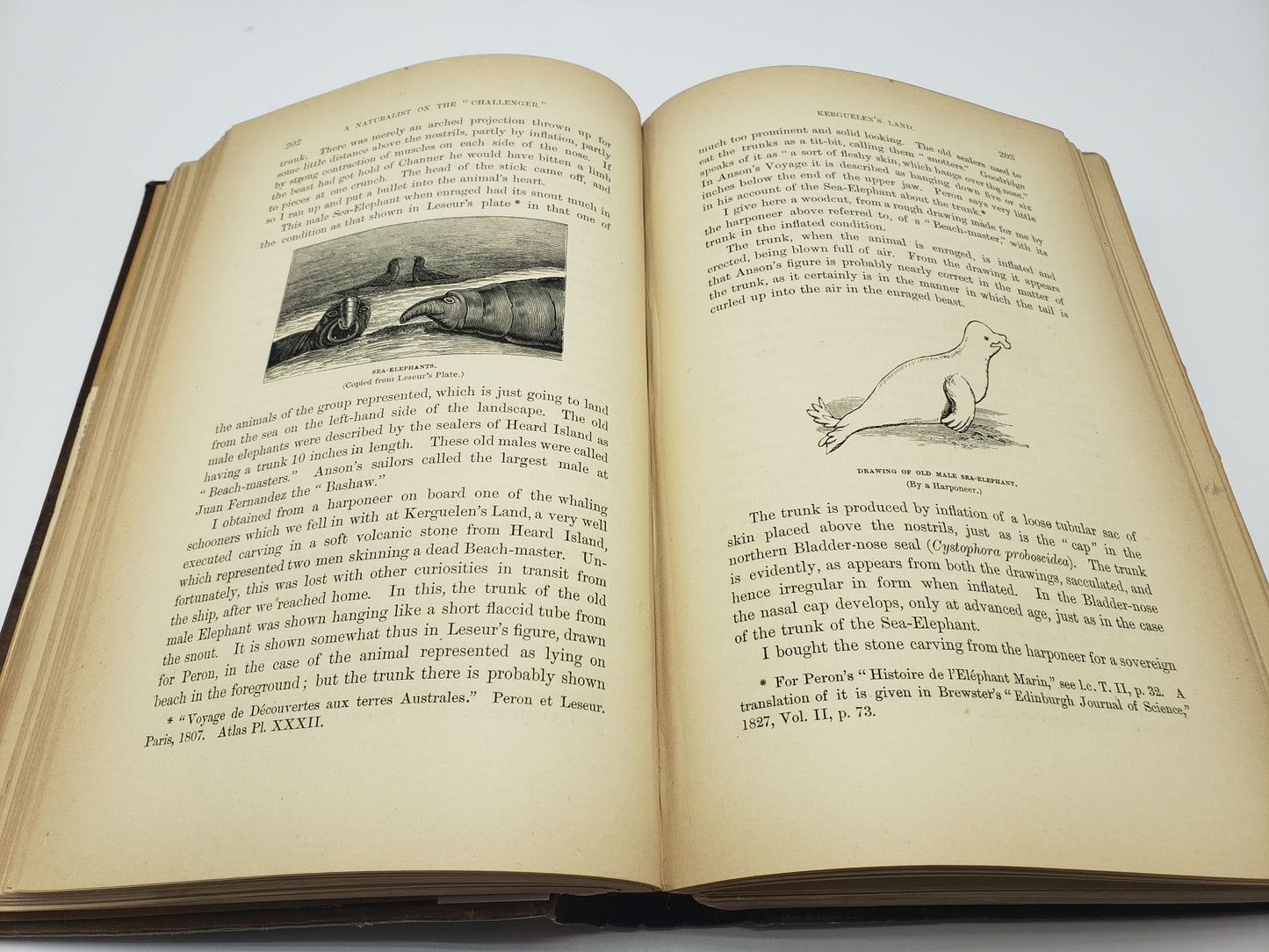 Notes By A Naturalist On The "Challenger"