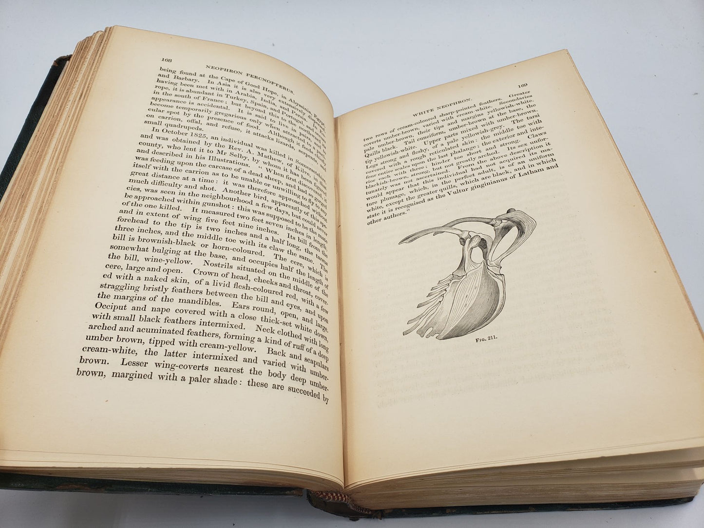History of British Birds, Indigenous and Migratory (3 Volumes)