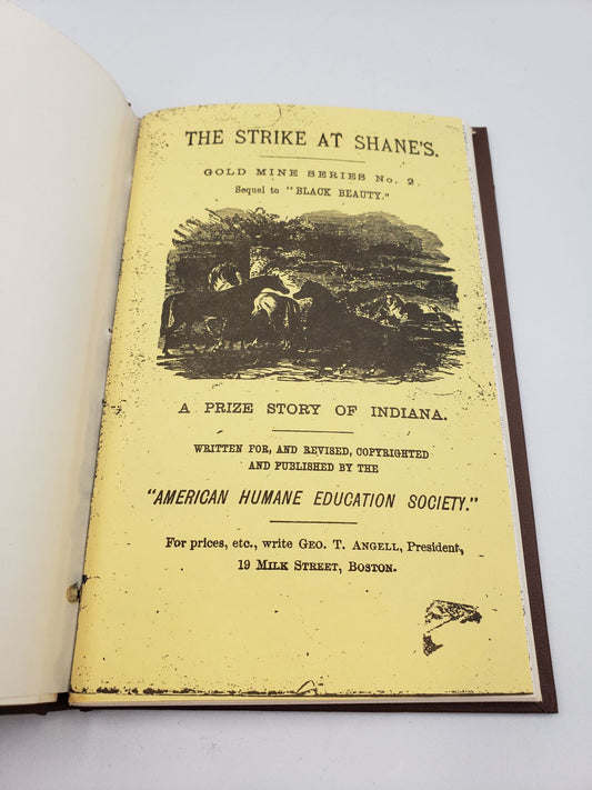 The Strike At Shane's: A Prize Story Of Indiana