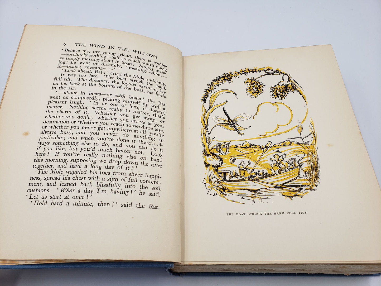 The Wind In The Willows