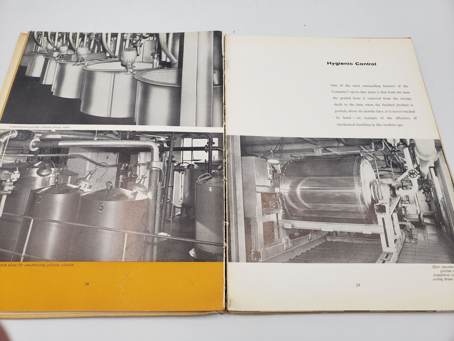 Leiner Gelatine and Chemicals: An Account of P. Leiner and Sons Ltd. and Associated Companies