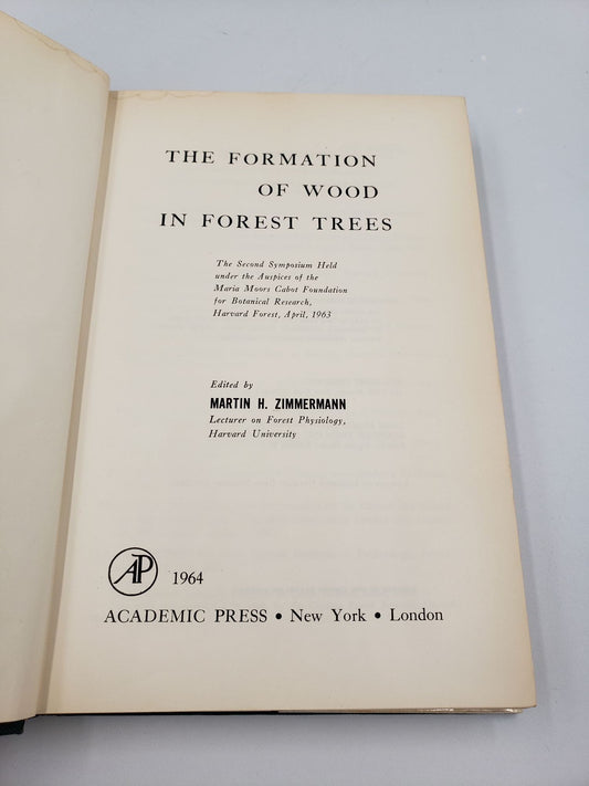 The Formation Of Wood In Forest Trees