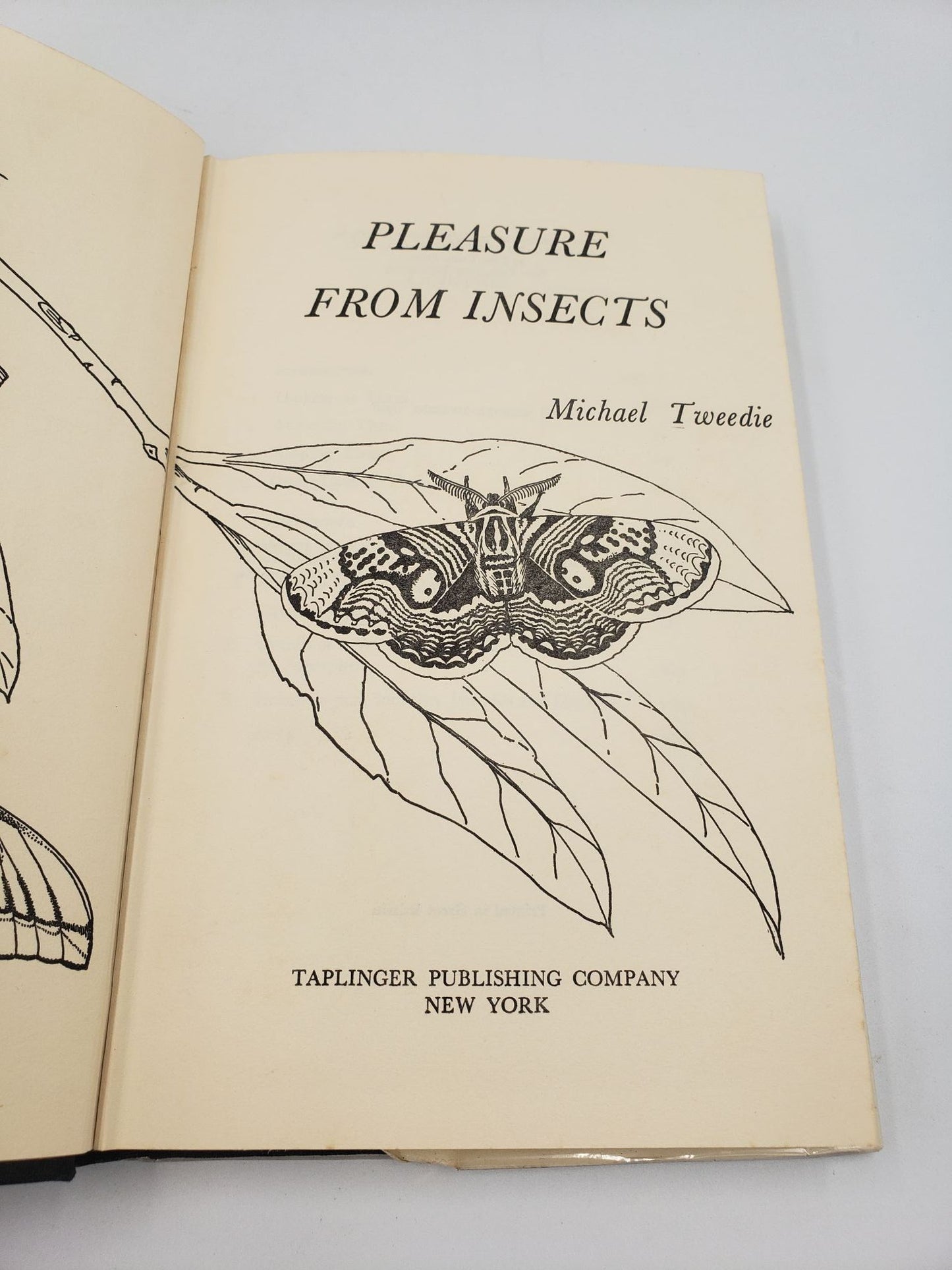 Pleasure From Insects
