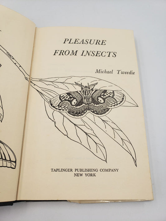 Pleasure From Insects