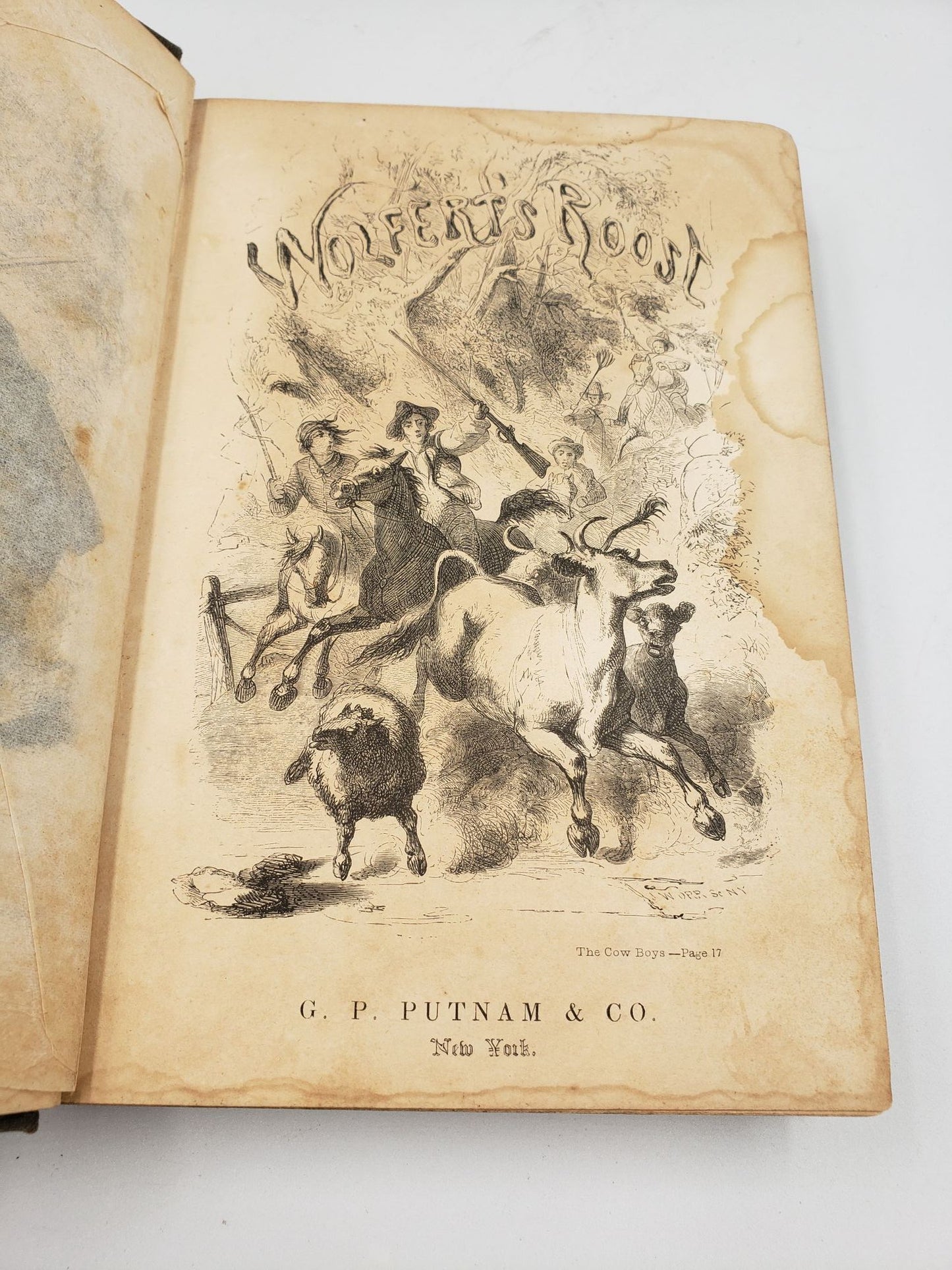 Wolfert's Roost