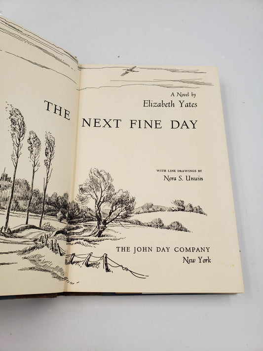 The Next Fine Day