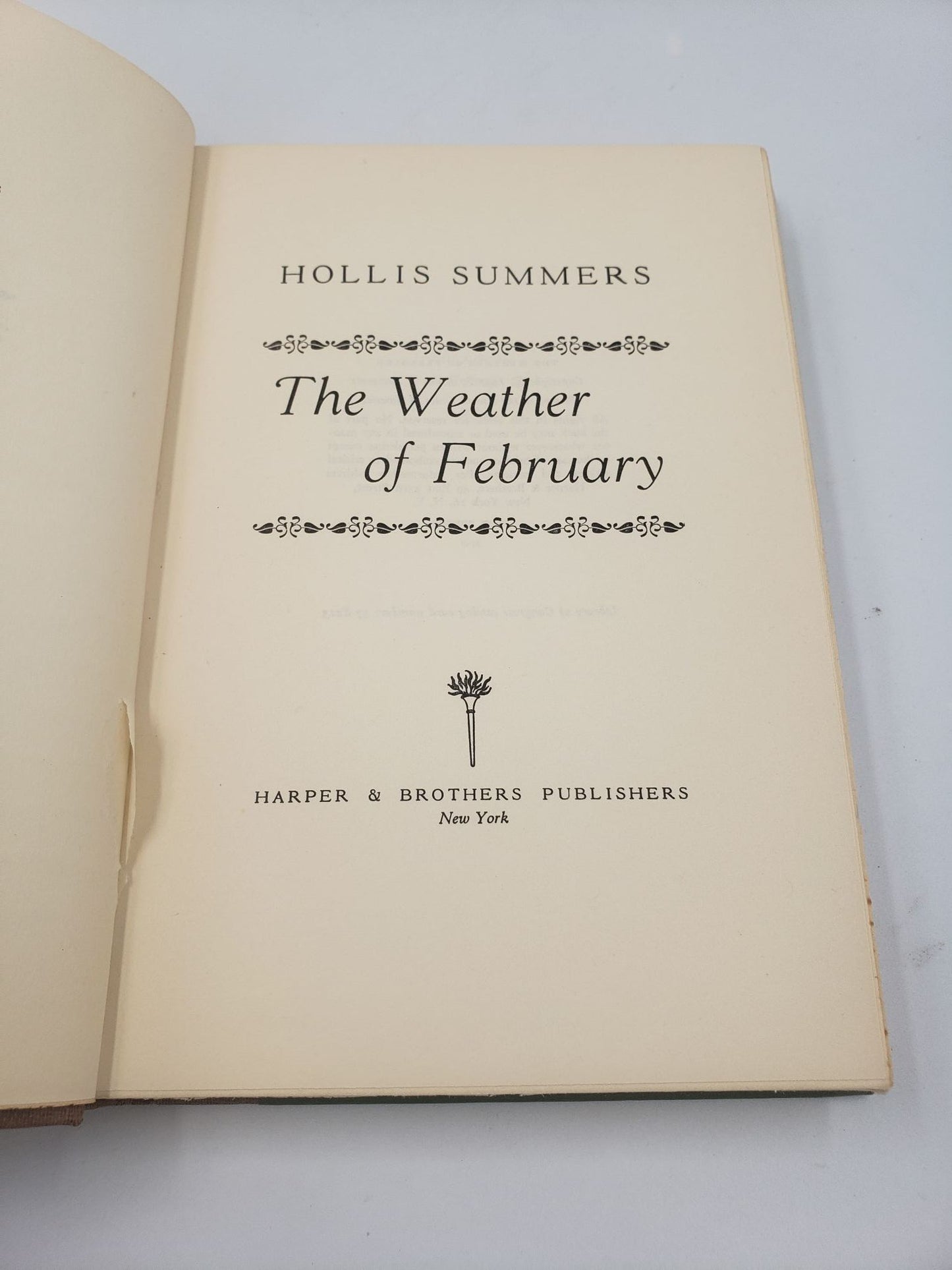 The Weather of February
