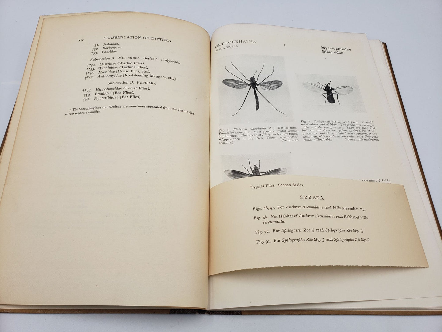 Typical Flies: A Photographic Atlas (Second Series)