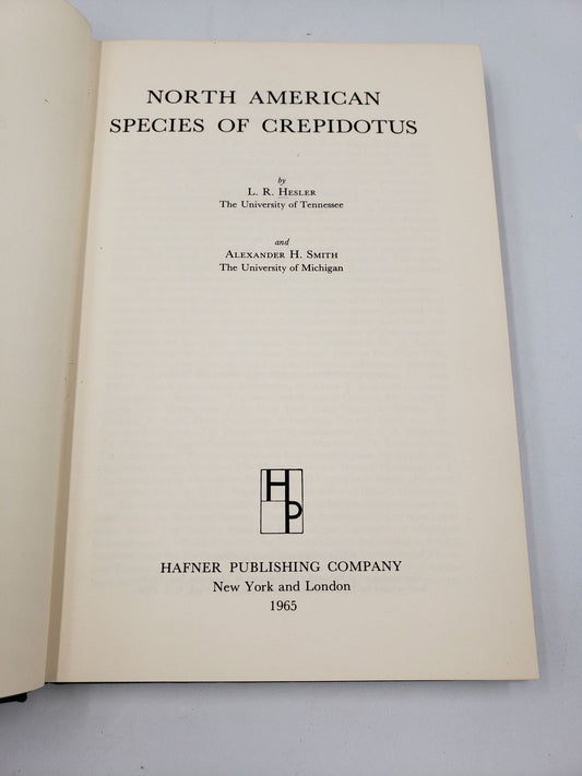 North American Species Of Crepidotus