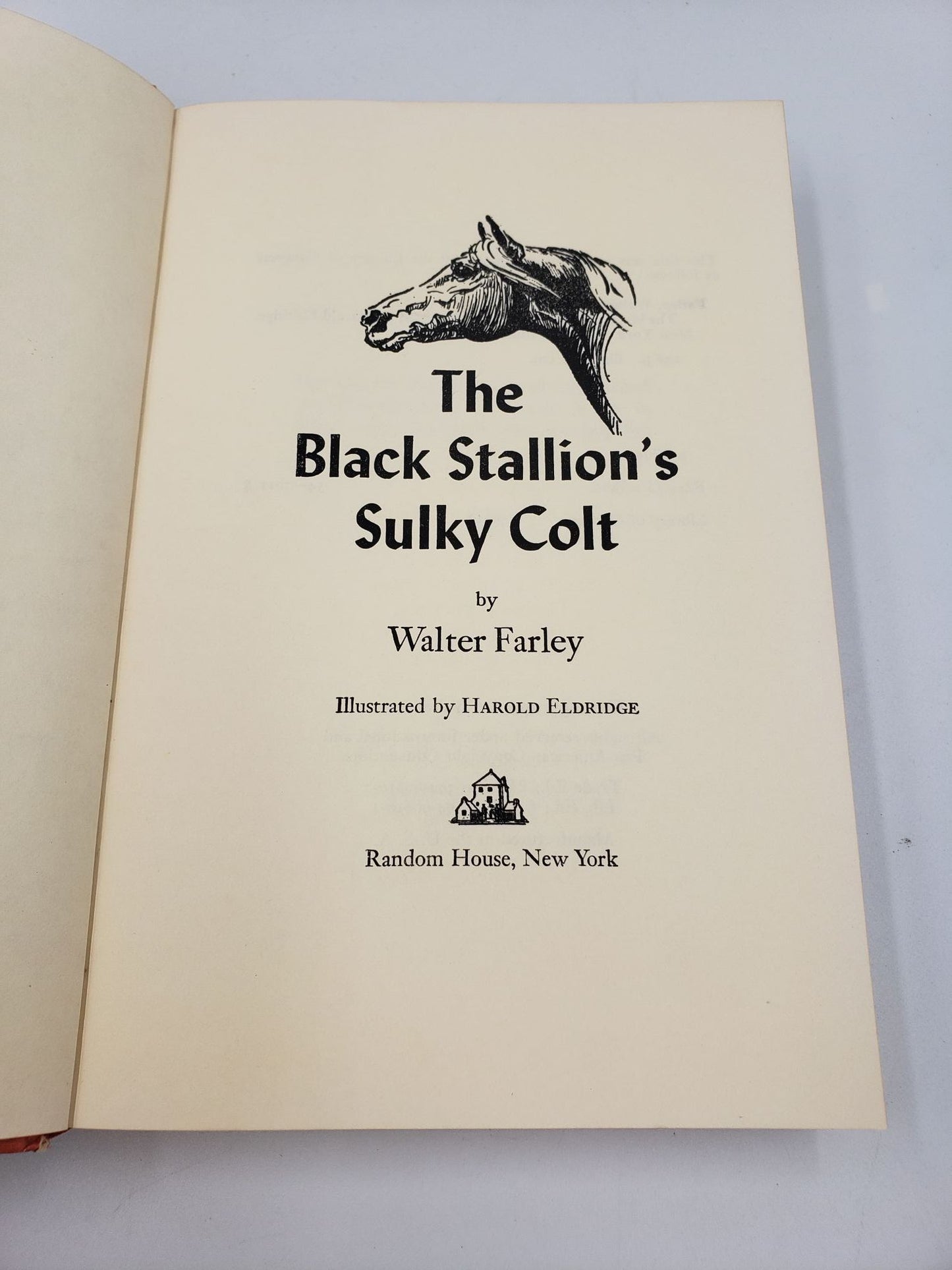 The Black Stallion's Sulky Colt