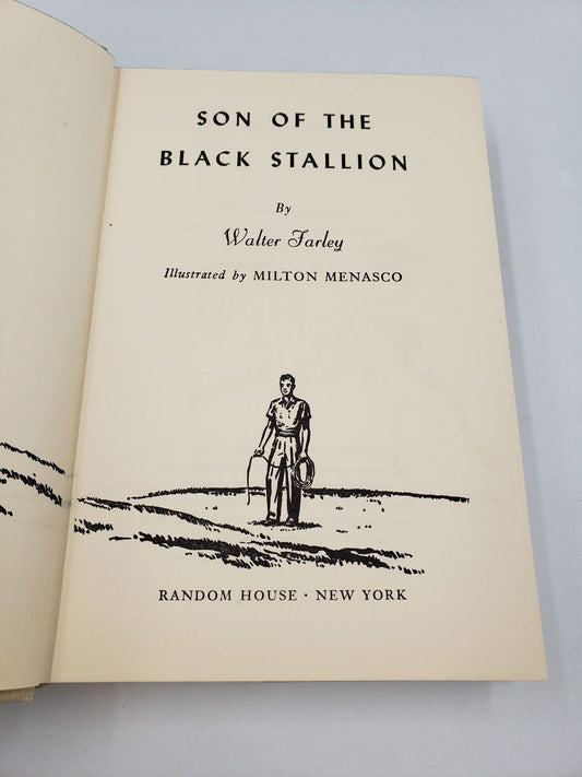 Son of the Black Stallion