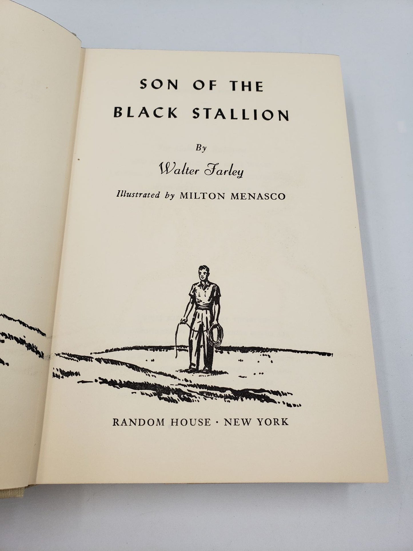 Son of the Black Stallion