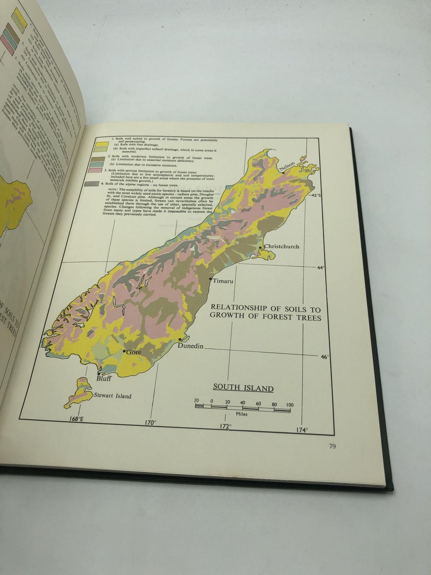 New Zealand Forestry