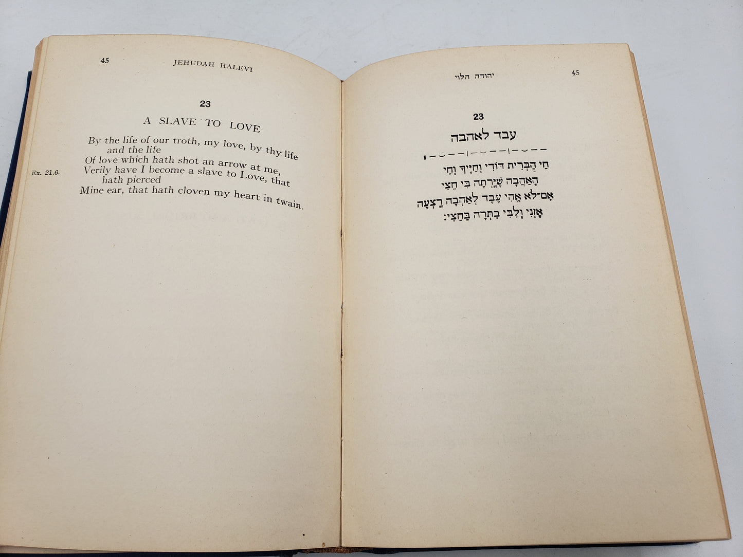 Selected Poems of Jehudah Halevi