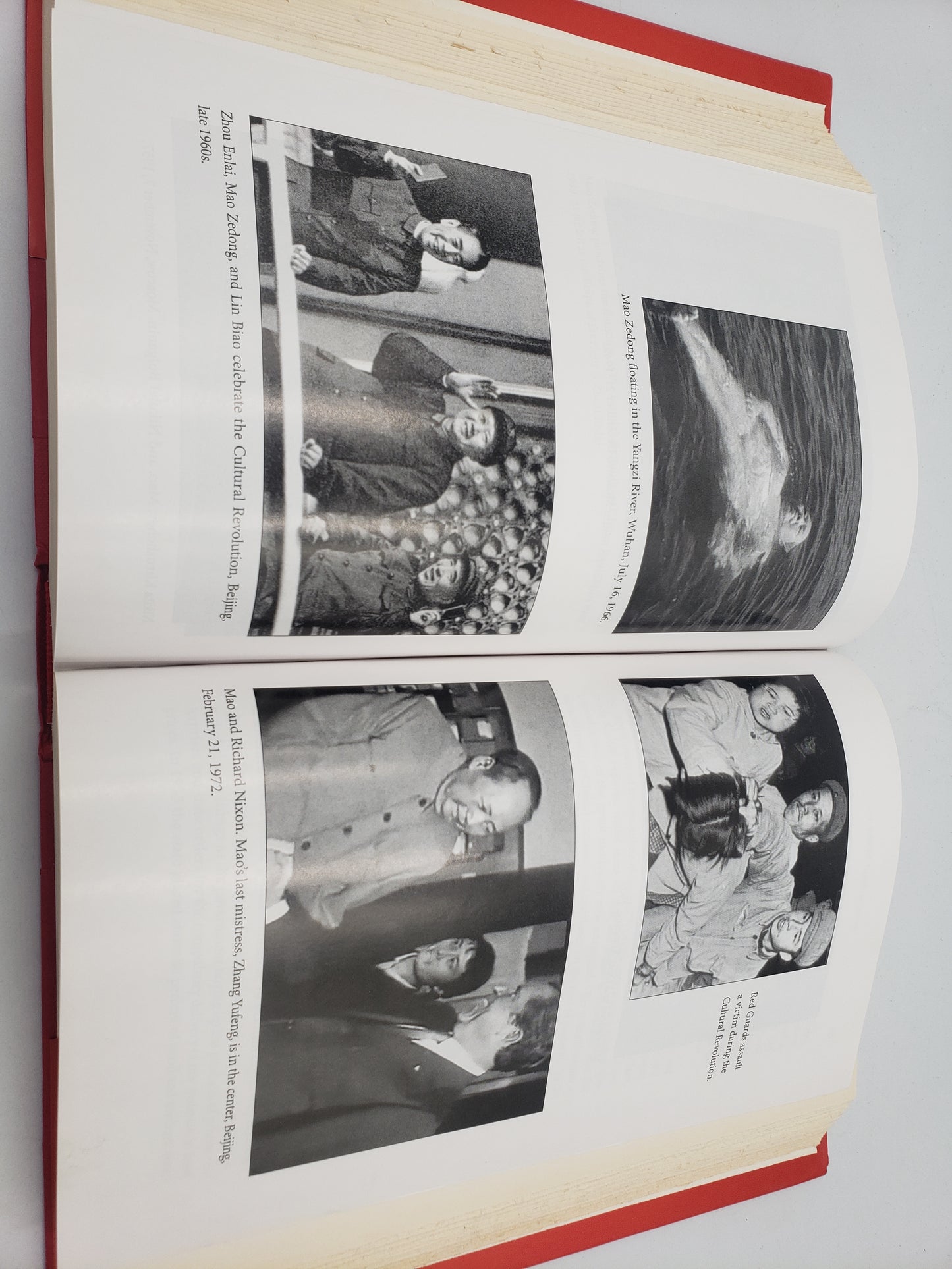 Mao: The Real Story