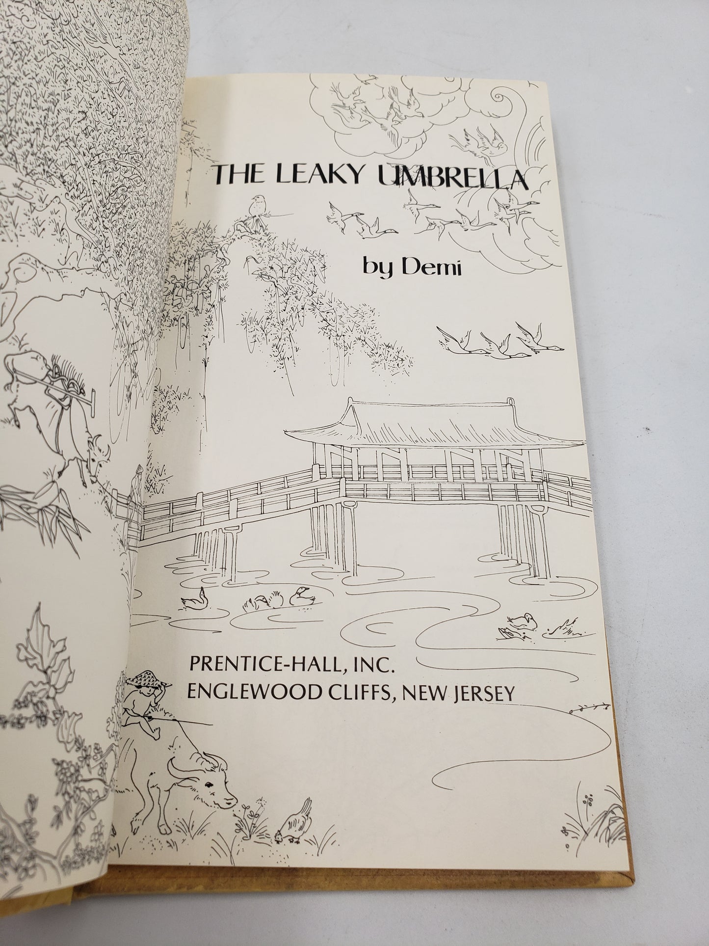 The Leaky Umbrella