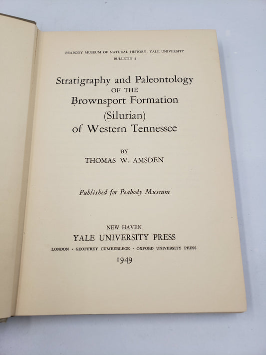 Stratigraphy and Paleontology of the Brownsport Formation (Silurian) of Western Tennessee