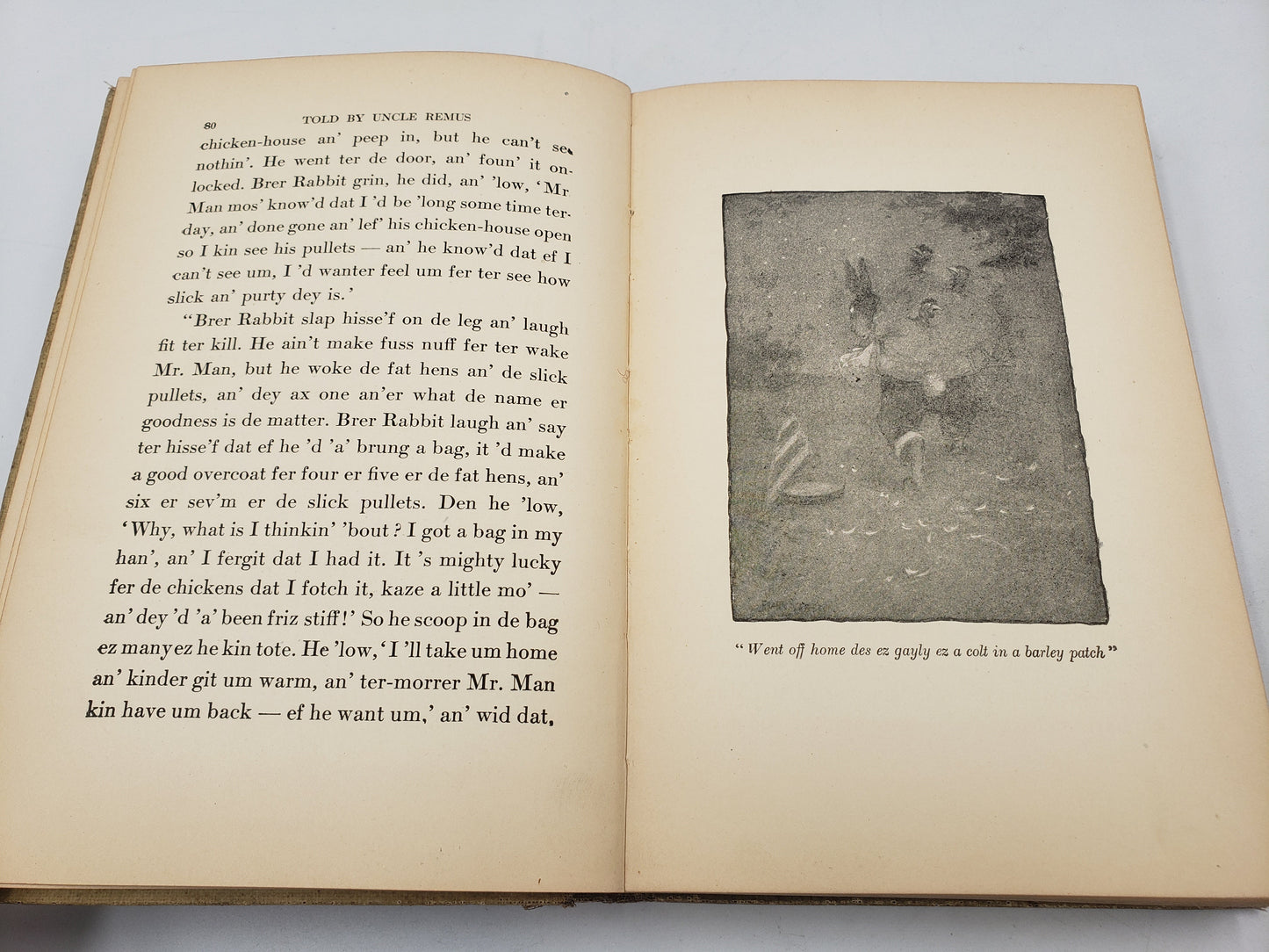 Told By Uncle Remus: New Stories Of The Old Plantation