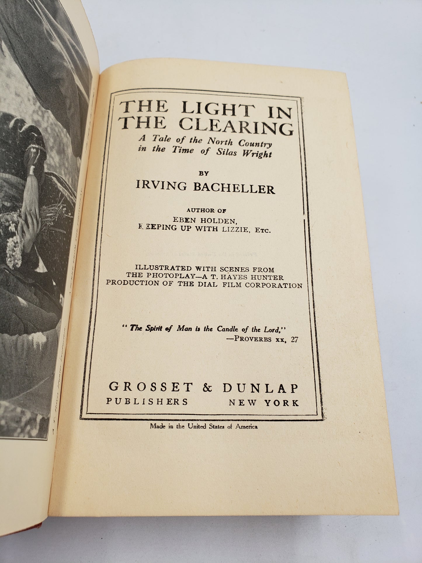 The Light in the Clearing