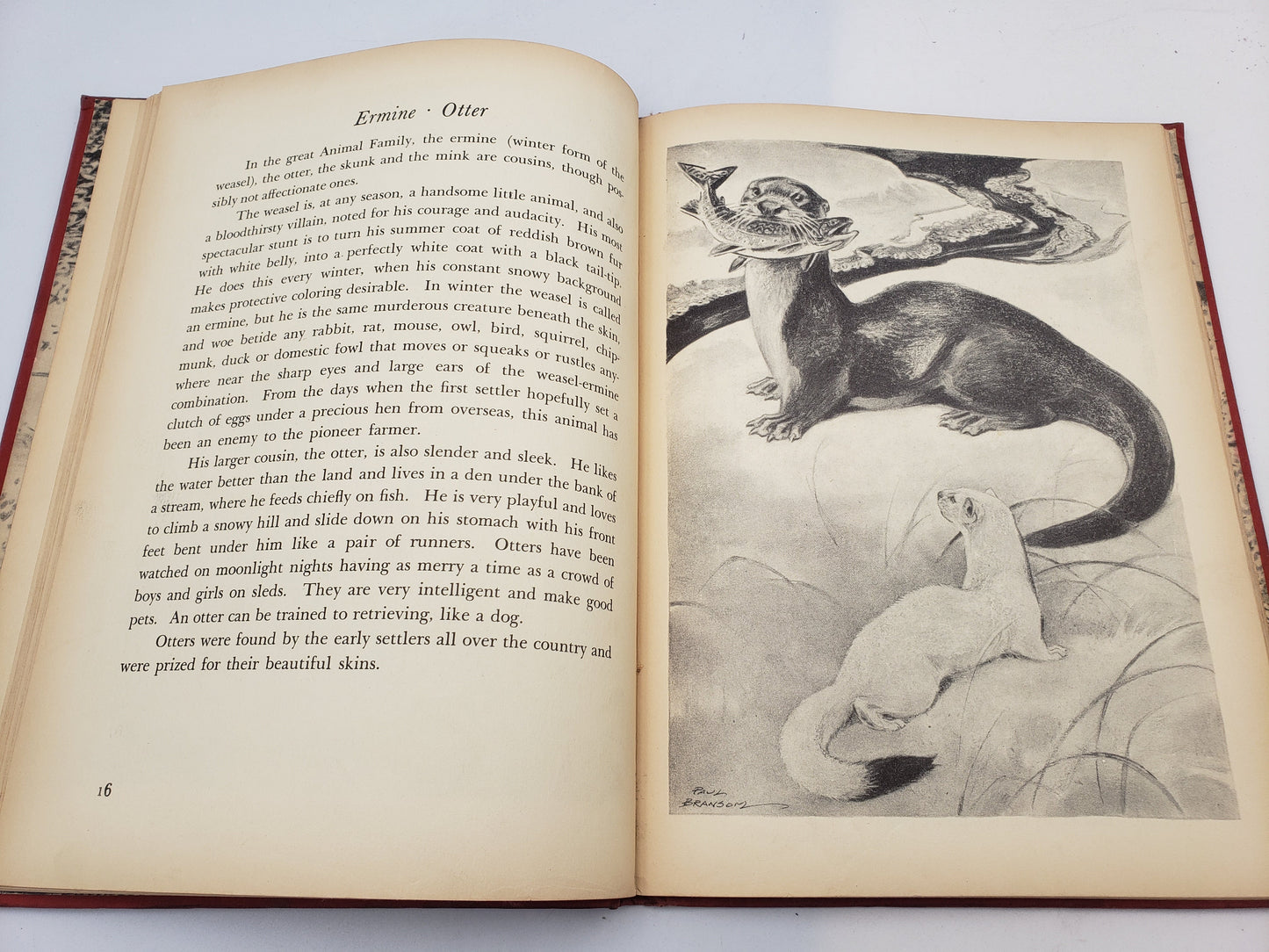 Animals Of American History: A Picture Book