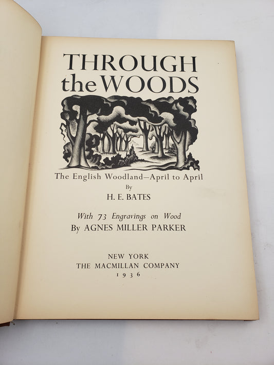 Through the Woods