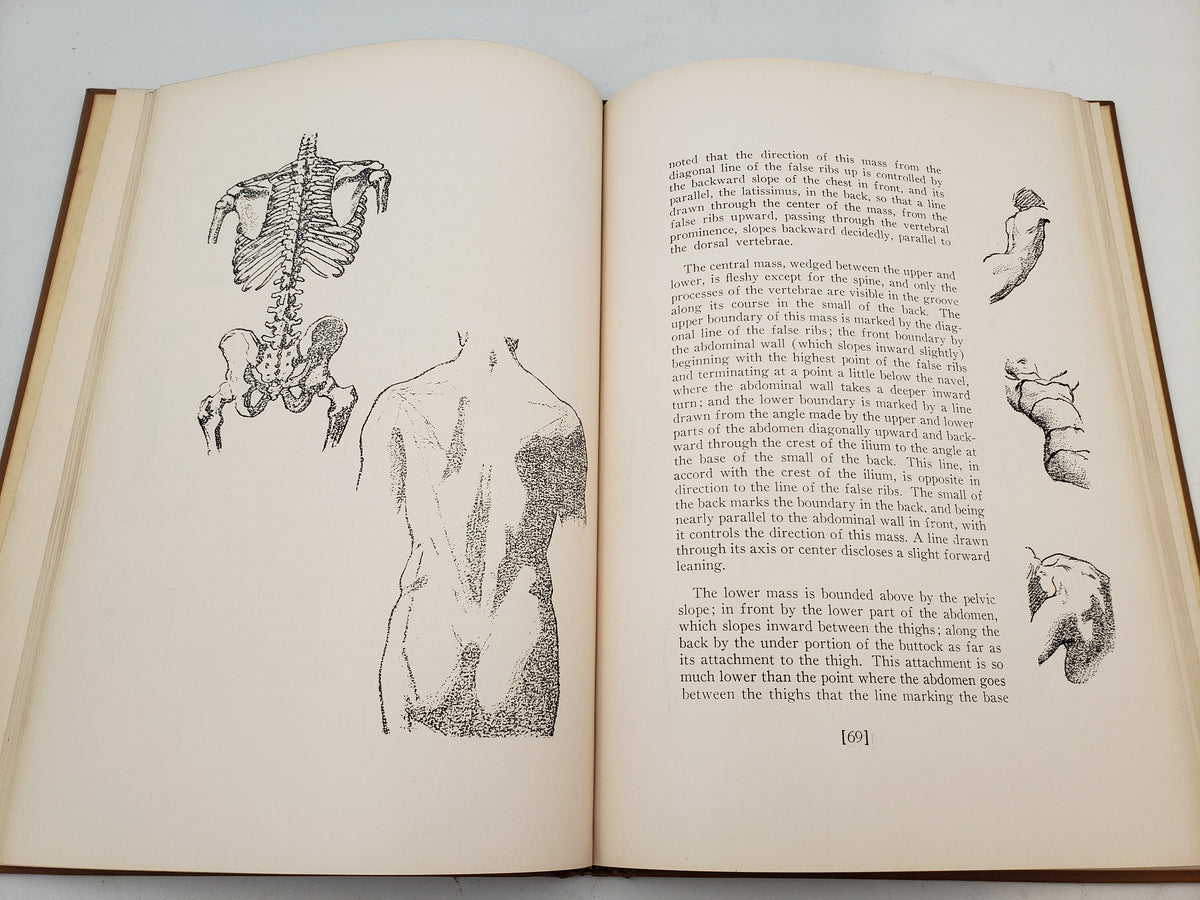 The Human Figure