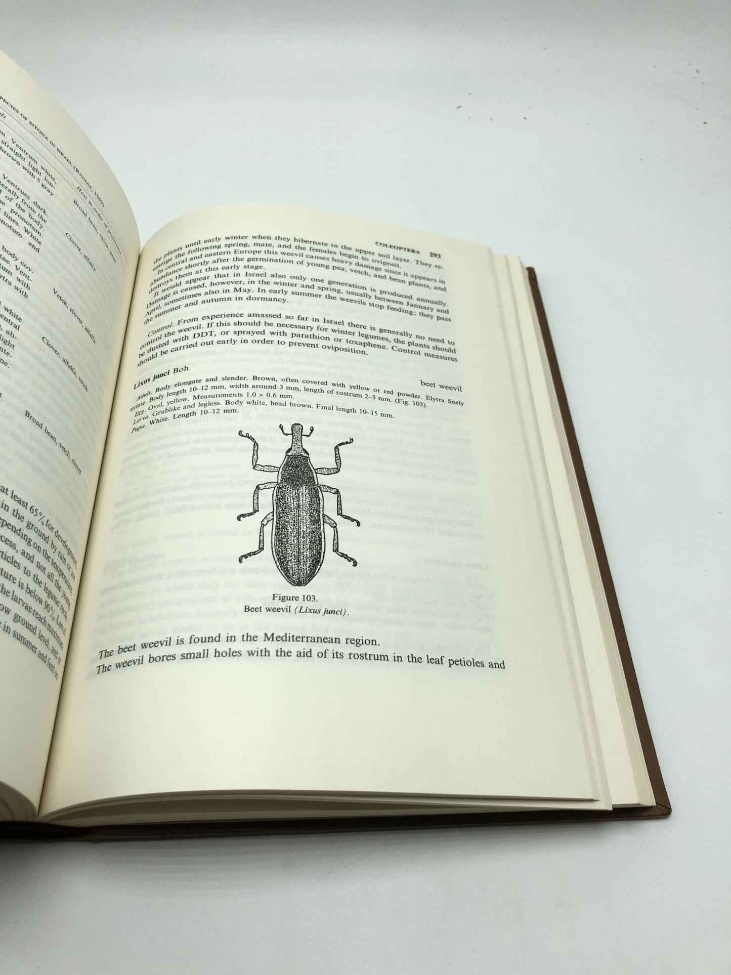 Plant Pests of Israel