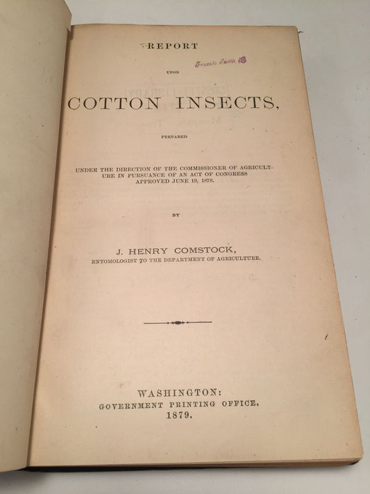 Report Upon Cotton Insects
