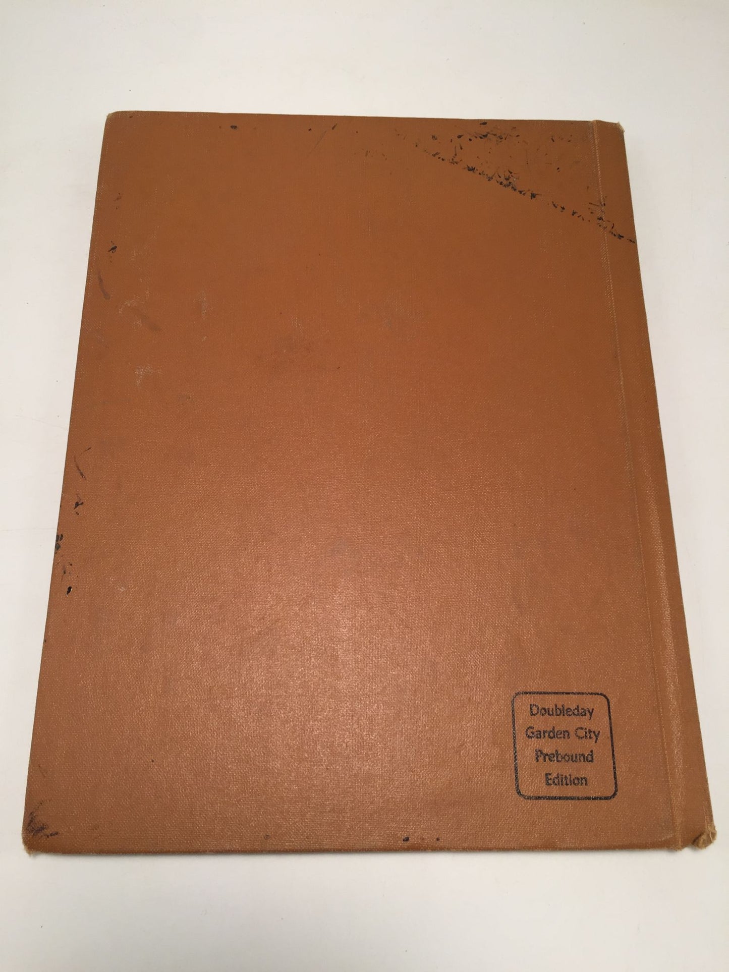 The Book of Small Mammals