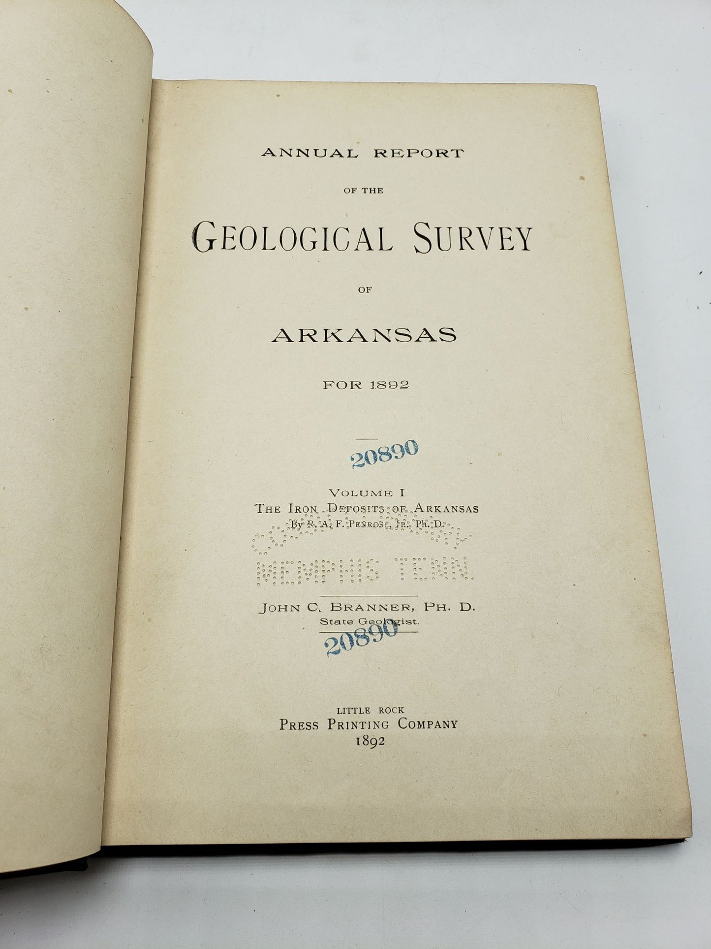 Annual Report of the Geological Survey of Arkansas for 1892: The Iron Deposits of Arkansas (Volume 1)