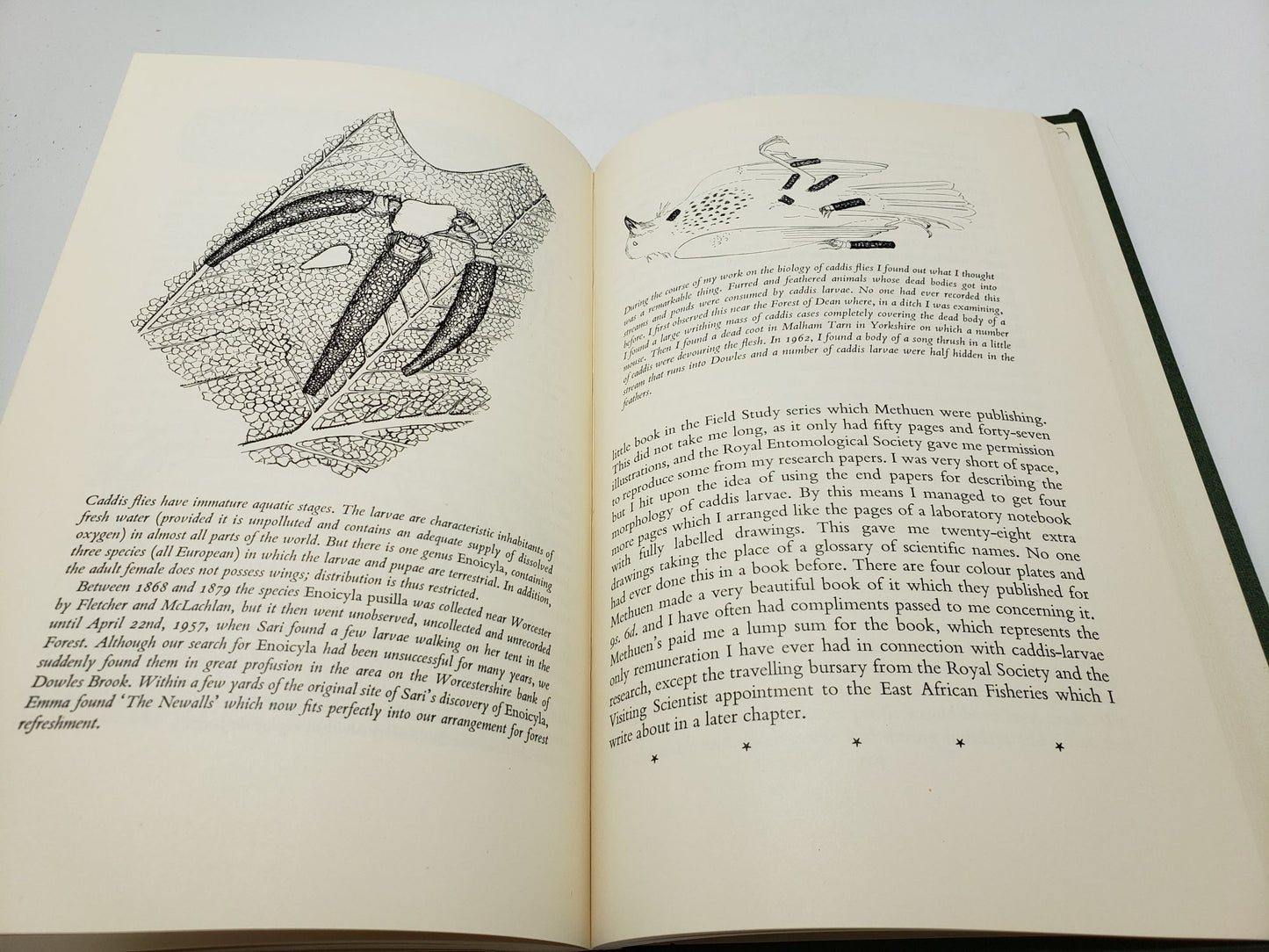 Forest Refreshed: The Autobiographical Notes of a Biologist
