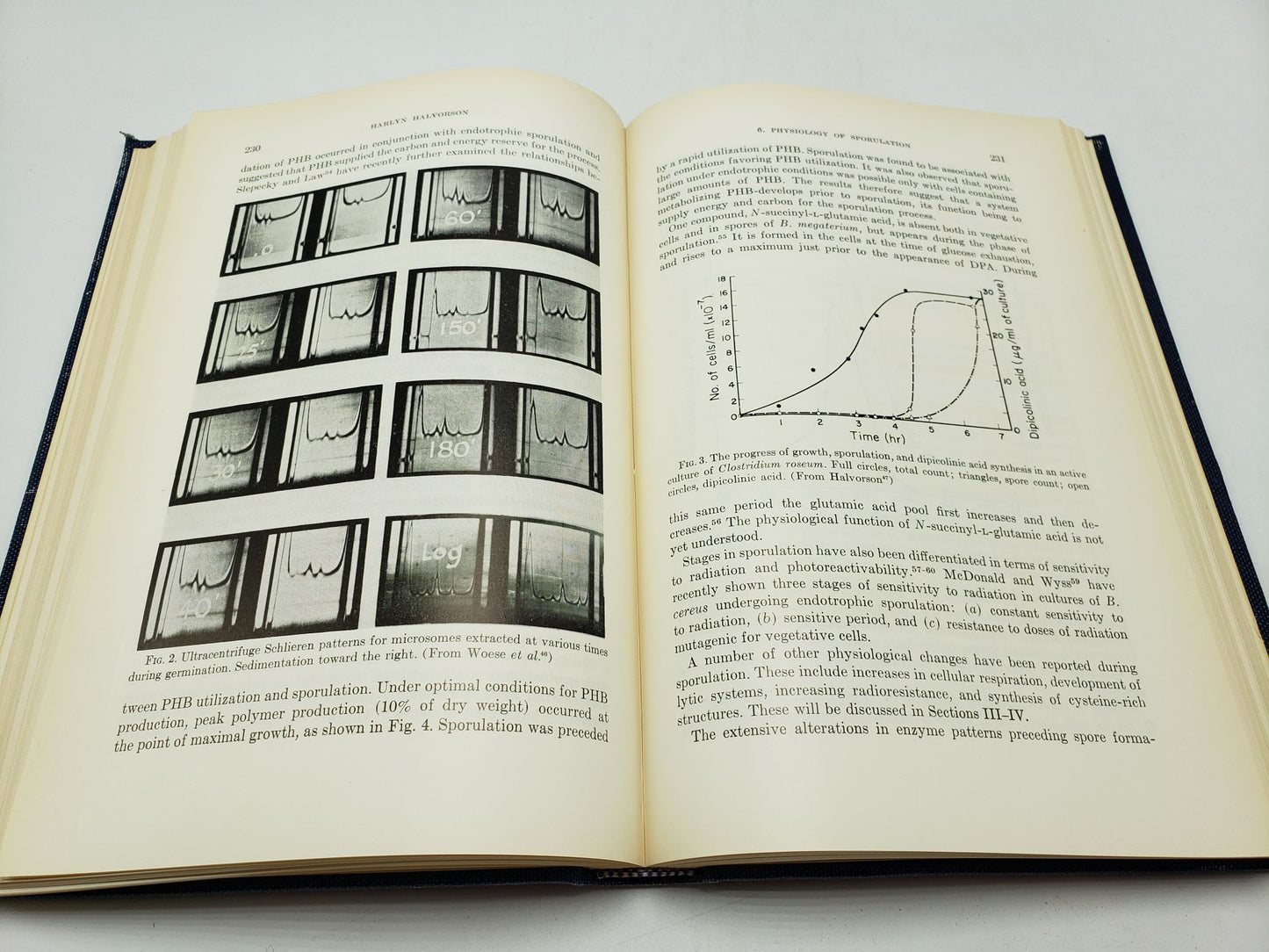The Bacteria, A Treatise on Structure and Function: The Physiology of Growth (Volume 4)