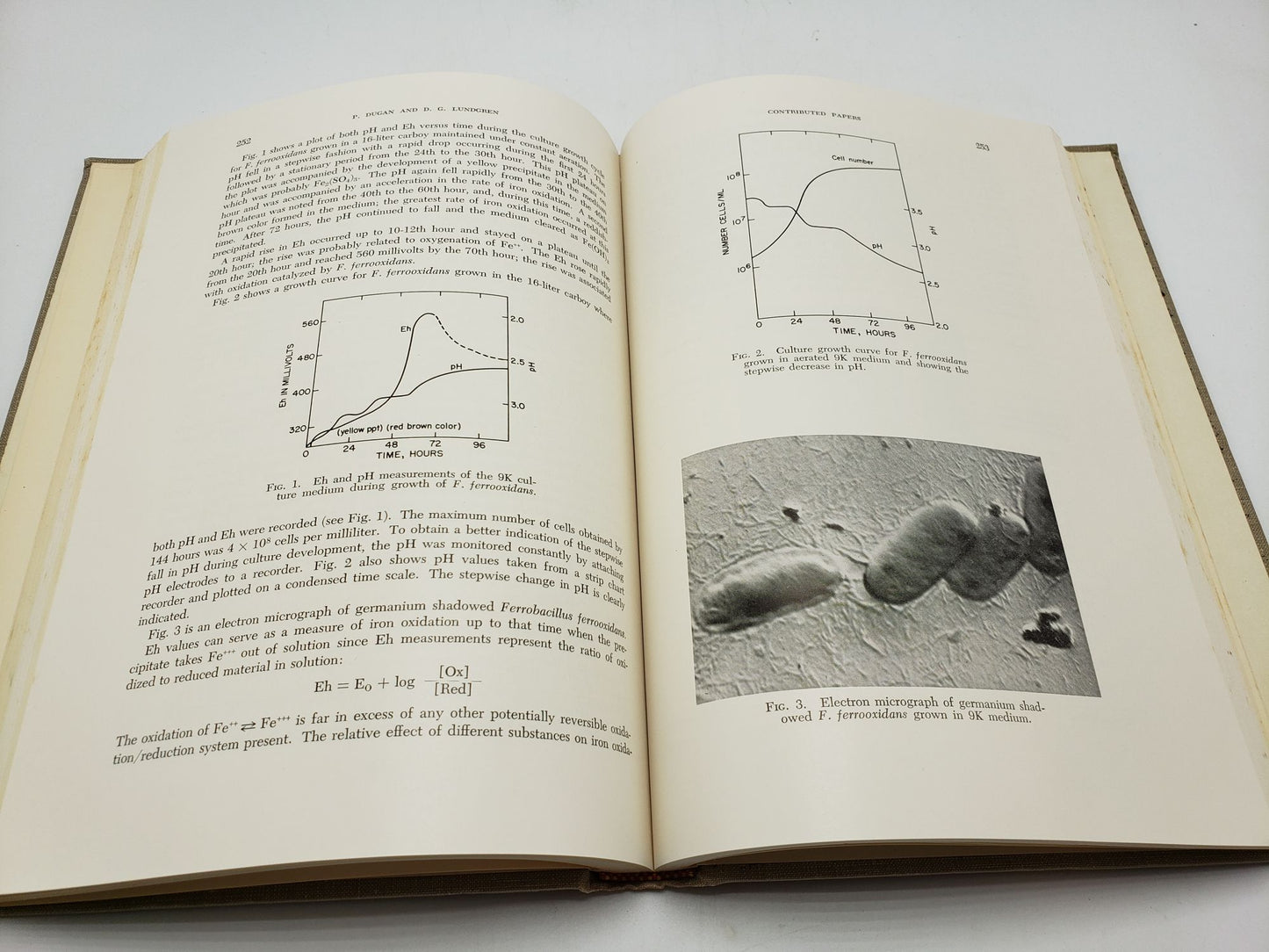 Developments in Industrial Microbiology (Volume 5)