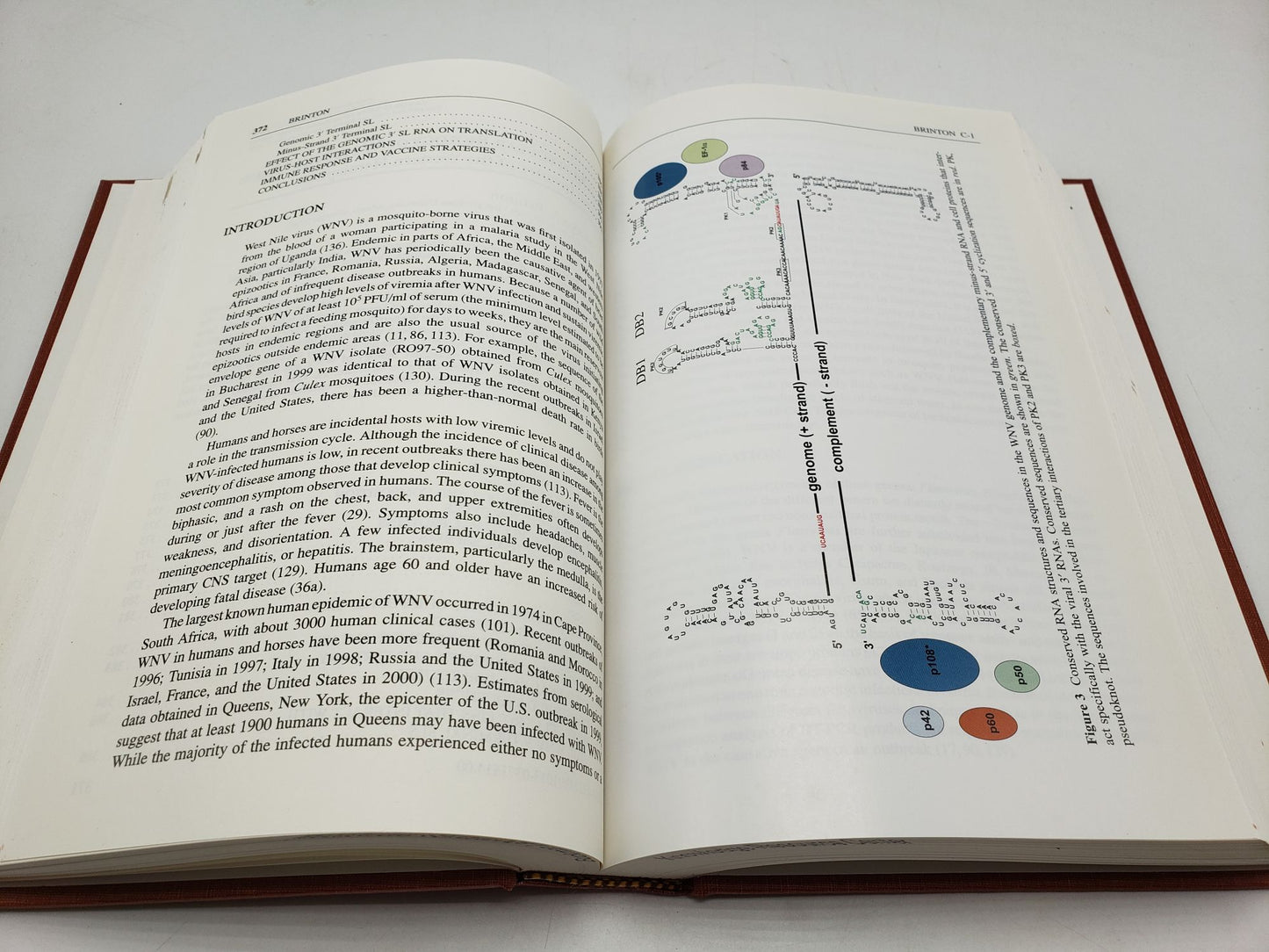 Annual Review of Microbiology: 2000 (Volume 54)