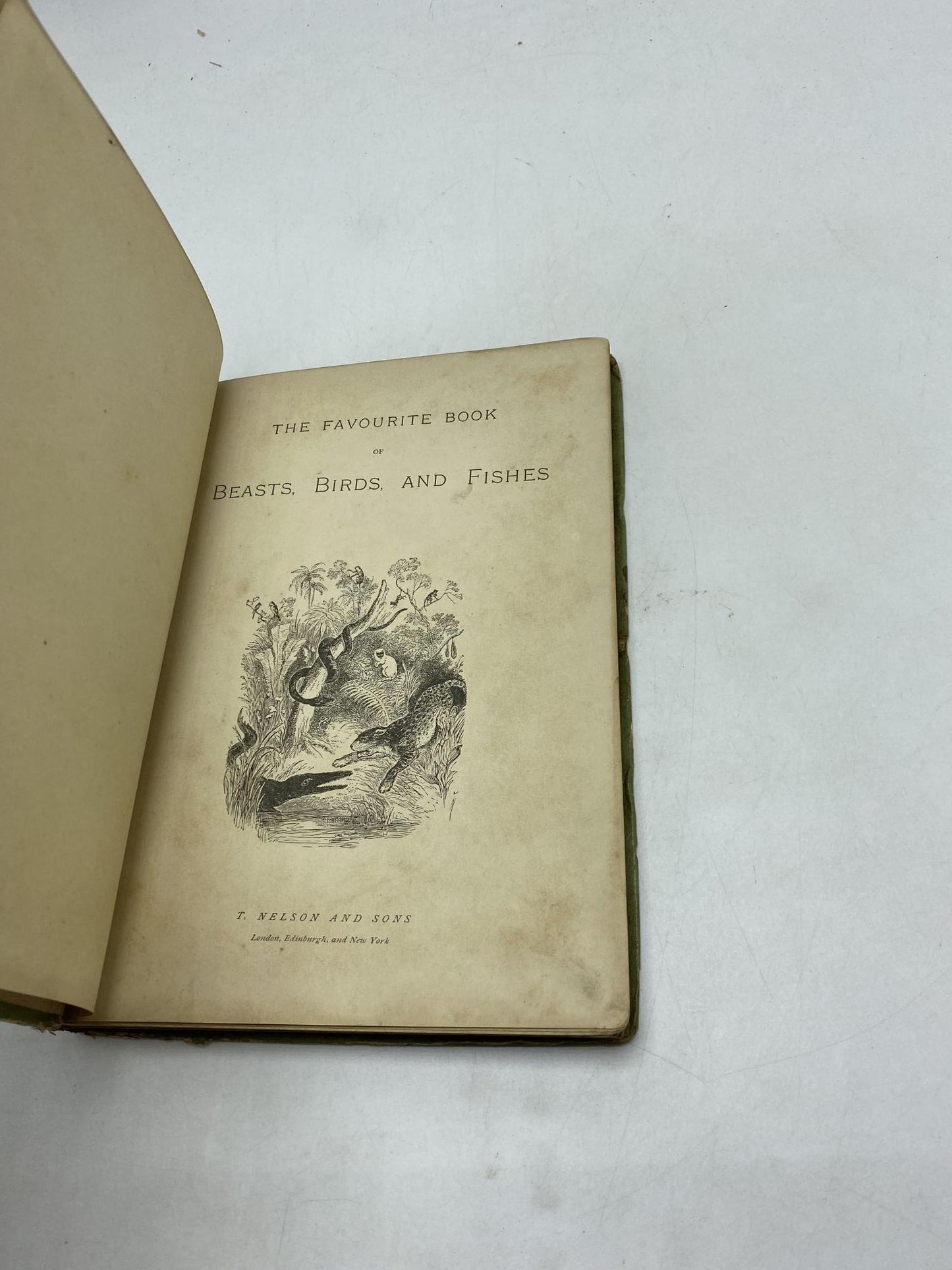 The Favourite Book of Beasts, Birds, And Fishes