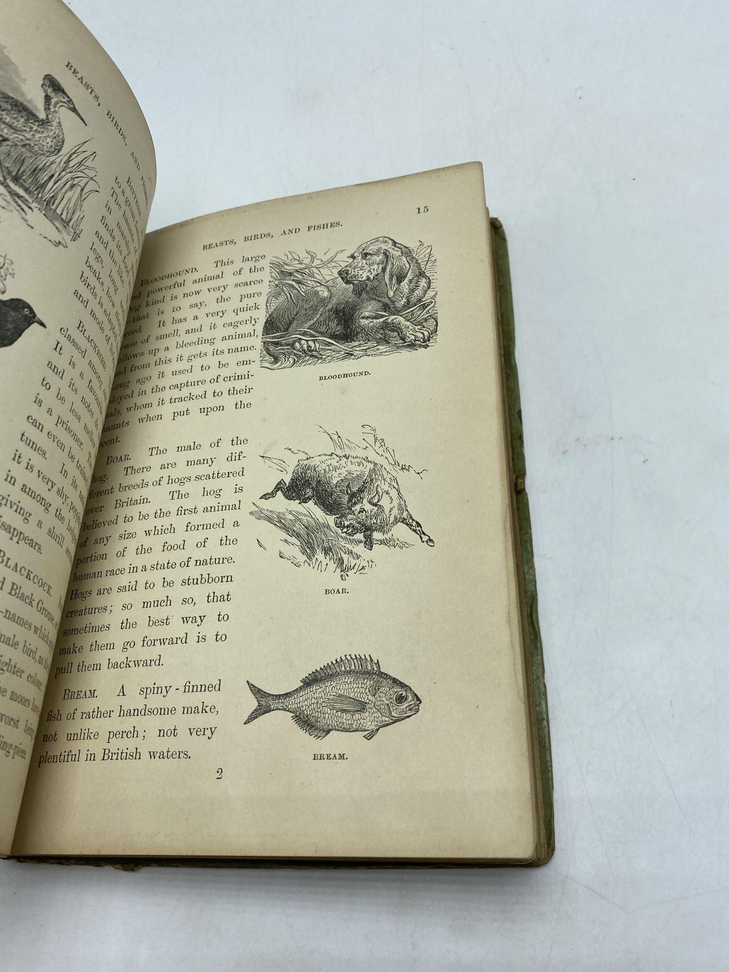 The Favourite Book of Beasts, Birds, And Fishes