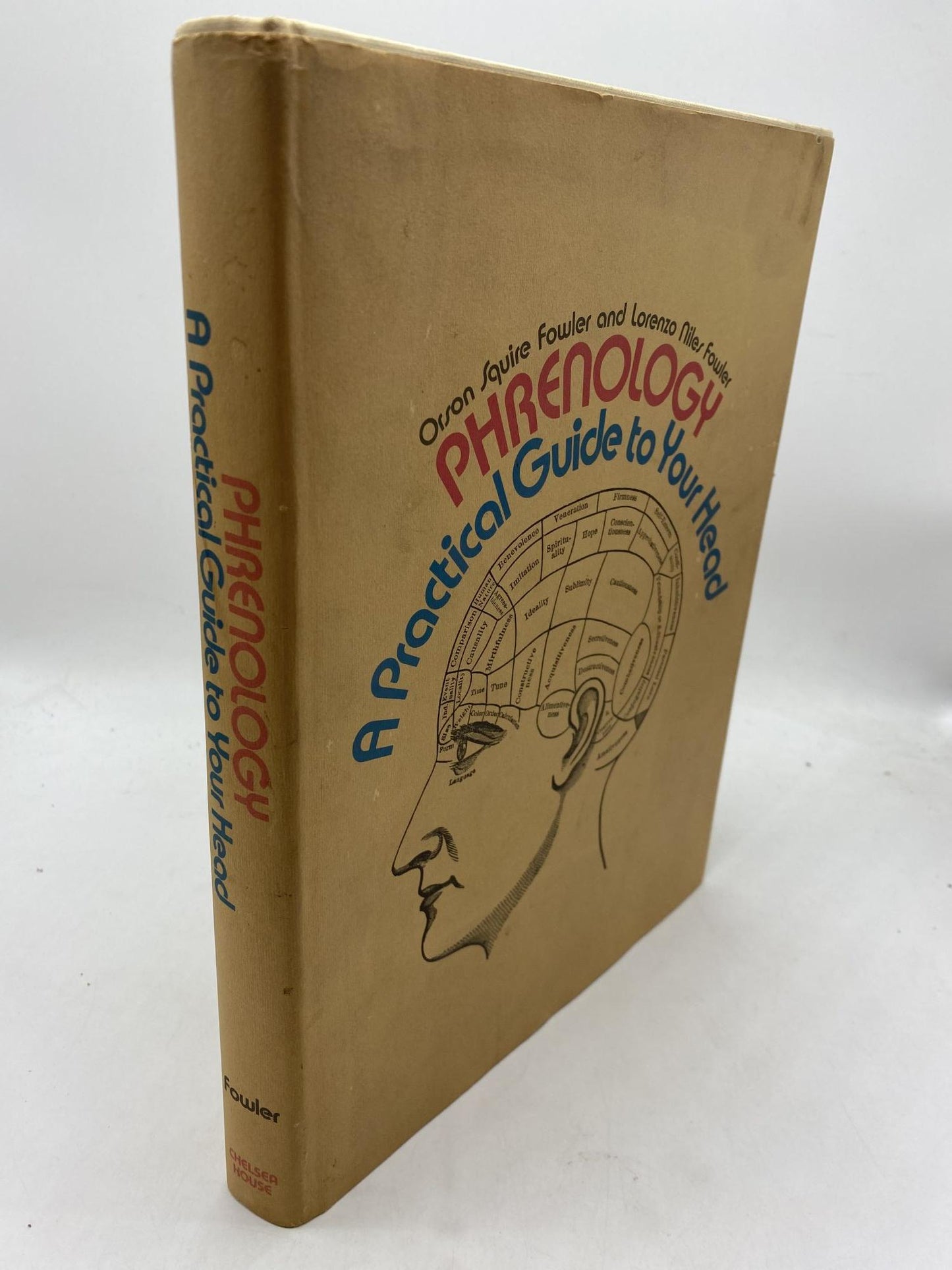 Phrenology: A Practical Guide To Your Head