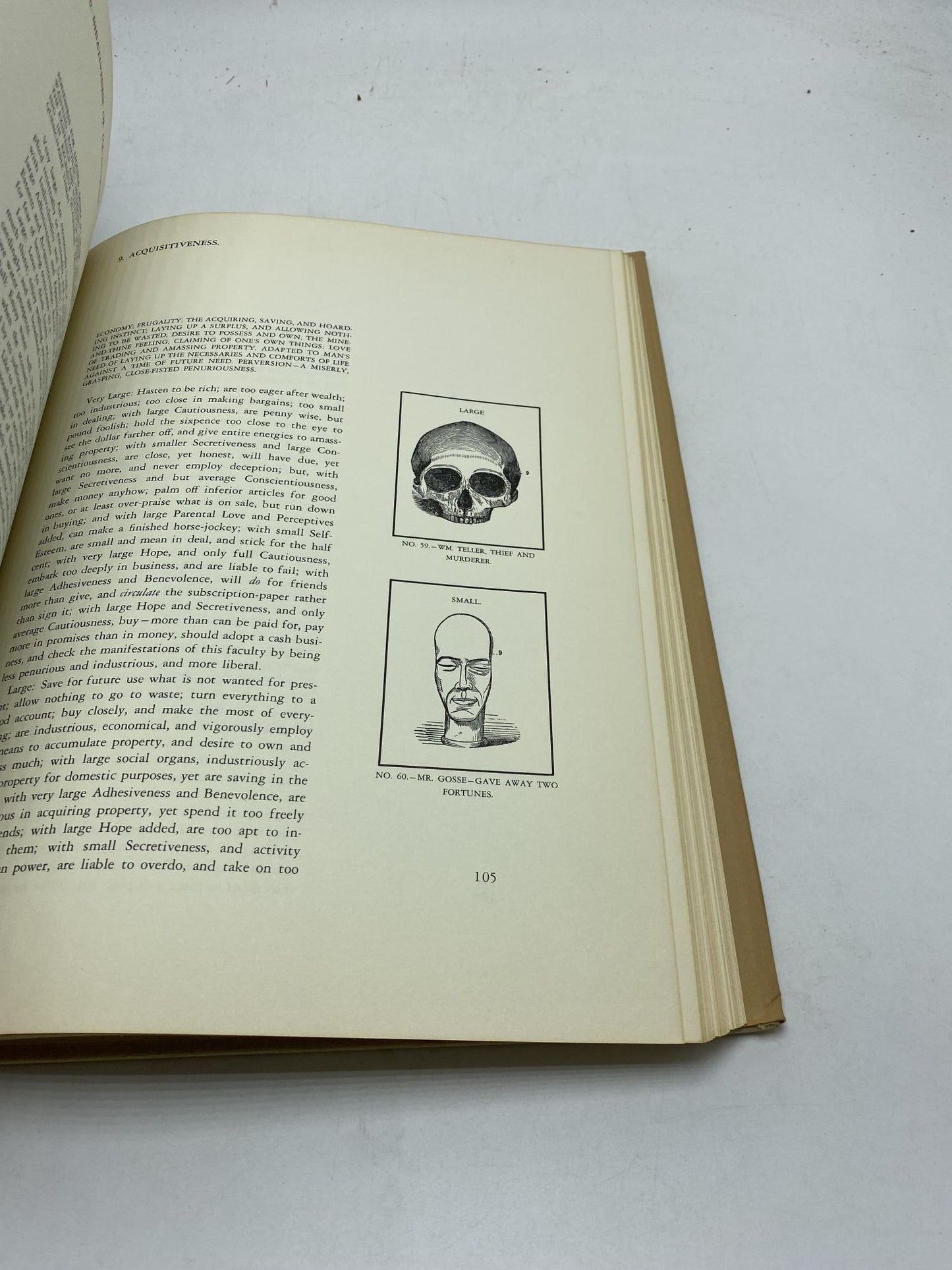 Phrenology: A Practical Guide To Your Head