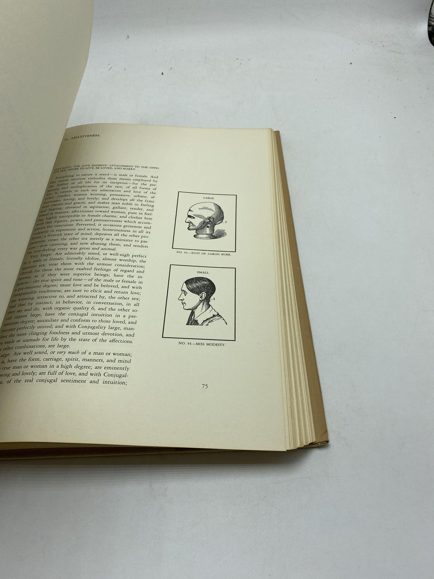 Phrenology: A Practical Guide To Your Head