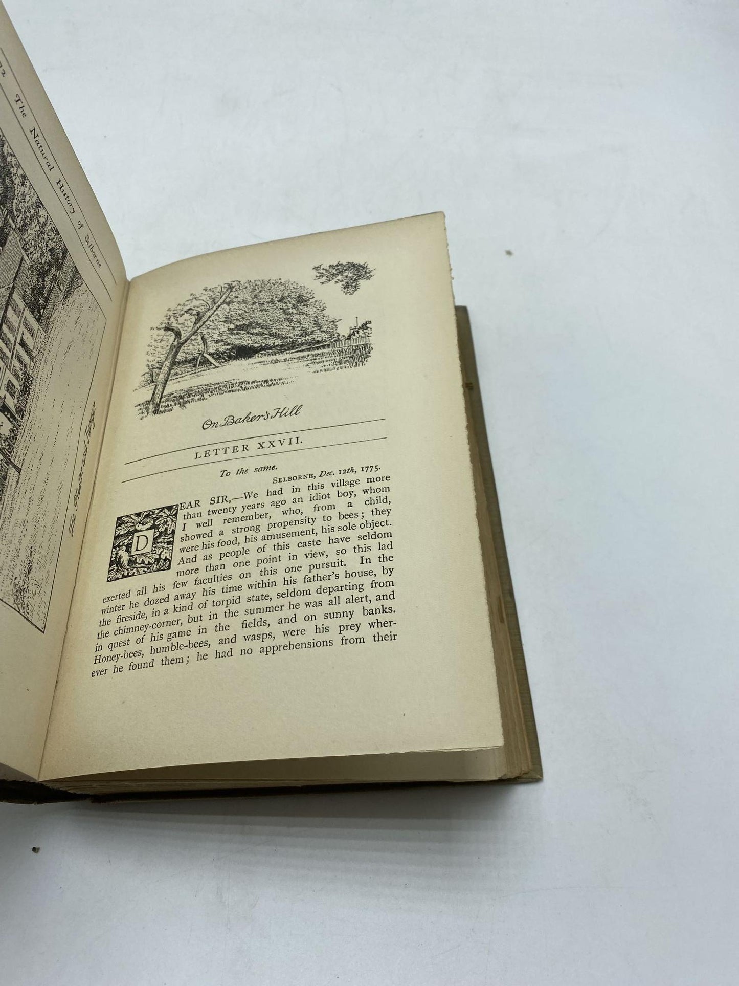 The Natural History Of Selborne