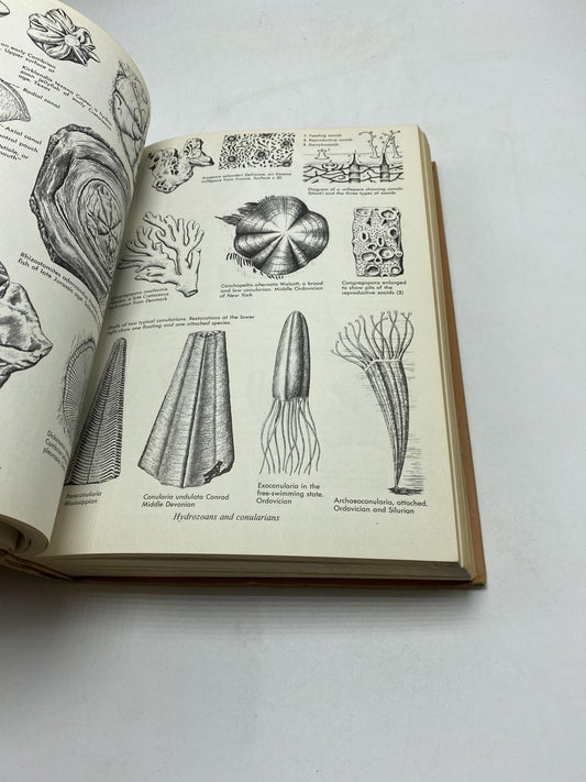 The Fossil Book: A Record Of Prehistoric Life
