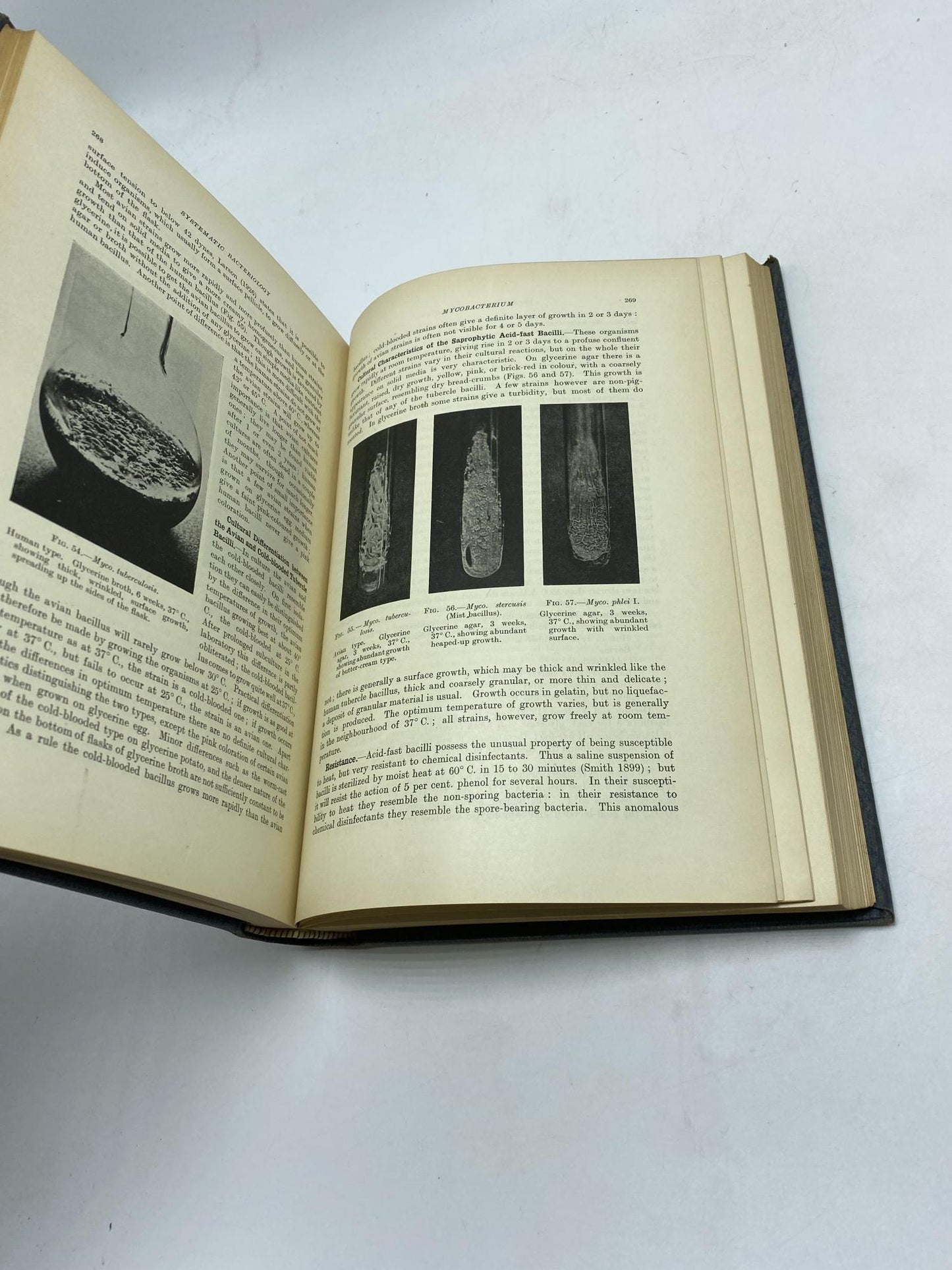 The Principles of Bacteriology and Immunity (2 Volumes)