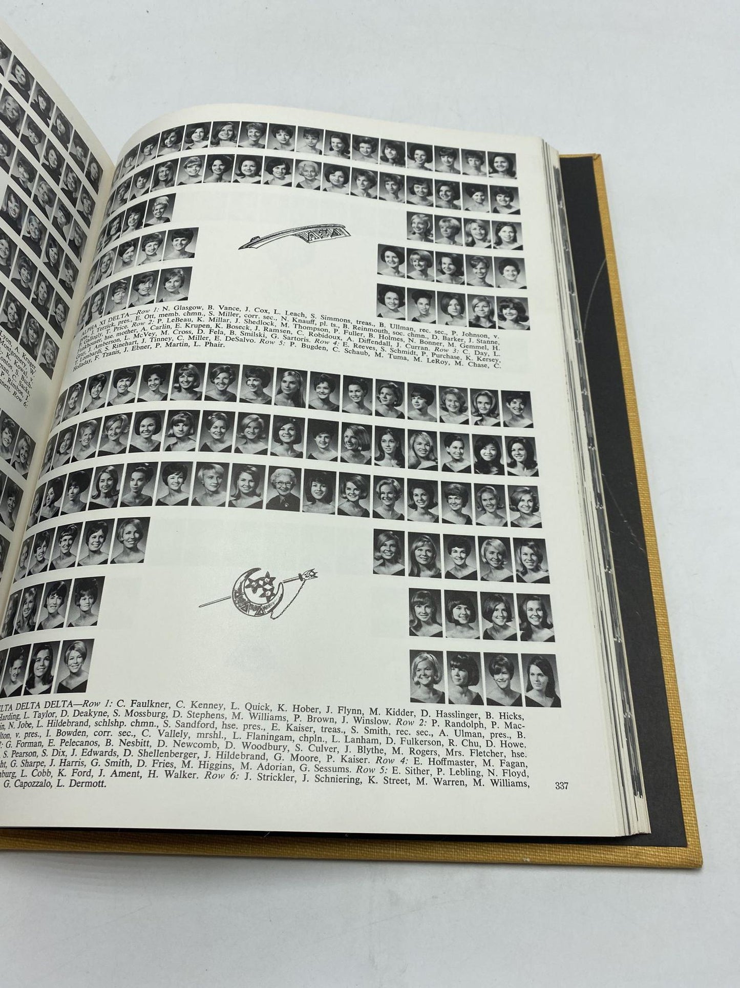 Terrapin 67 University of Maryland Volume 66