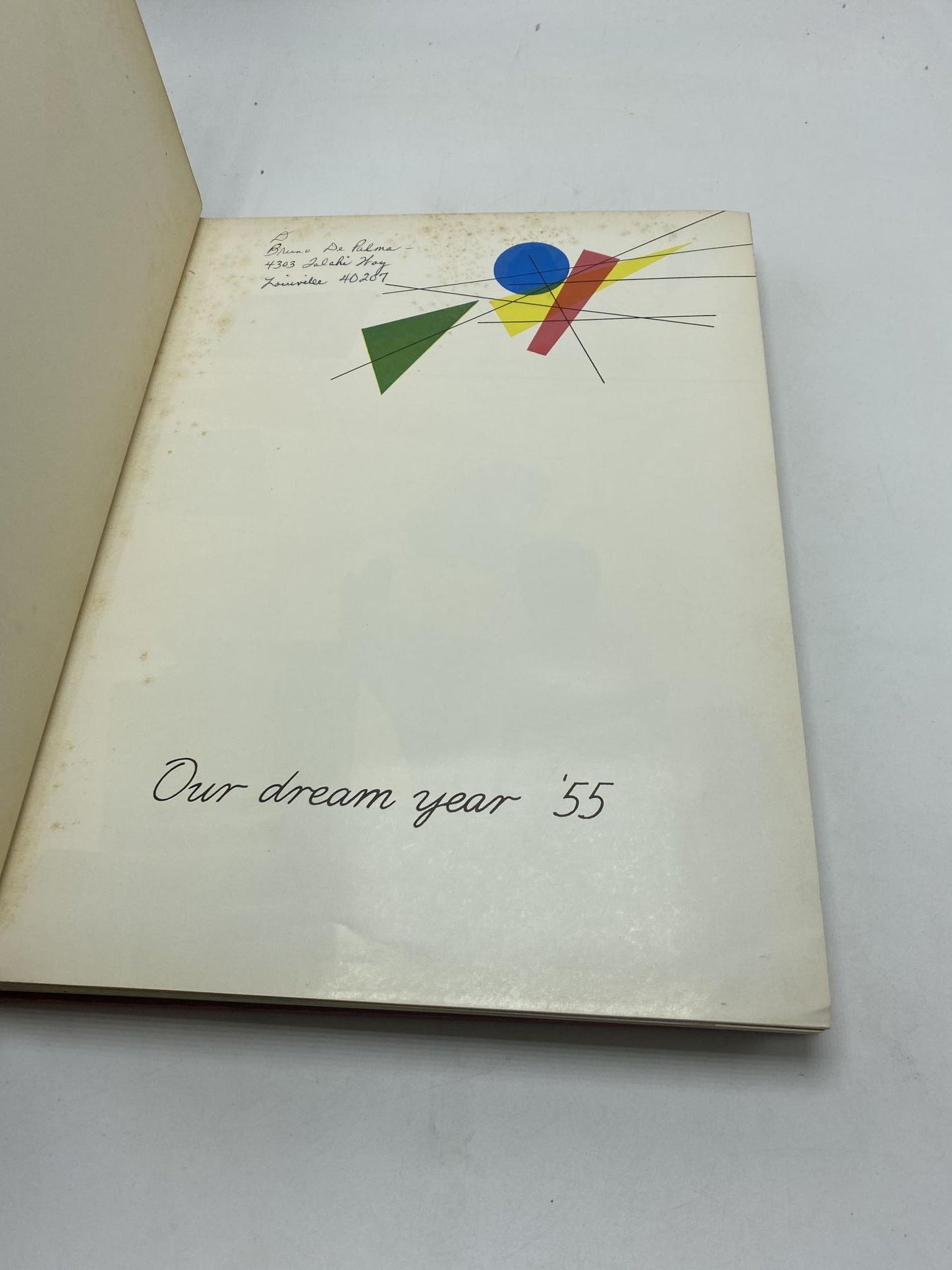 Tennessee Volunteer: Our Dream Year '55
