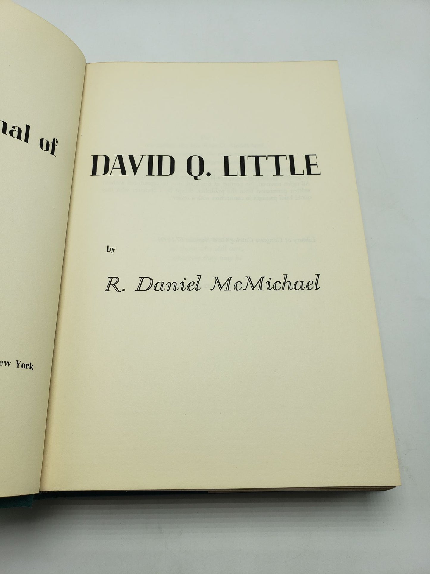 The Journal of David Q. Little
