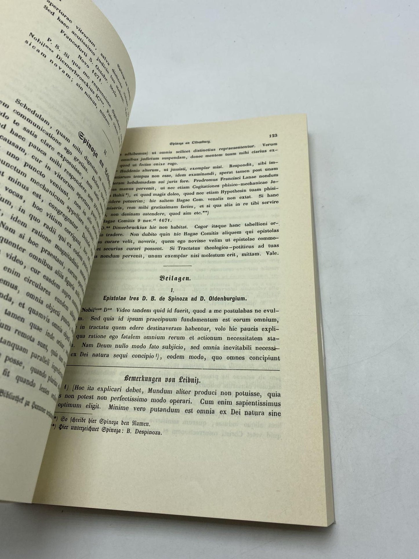 Die Philosophischen Schriften 1